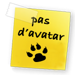 Journal d'Infos Techniques du Forum Noavatar